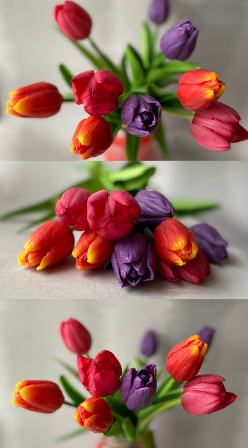 Soap Flowers Tulips vs Fresh Tulips