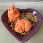 guinea pig gift - handmade vegan soap gift set