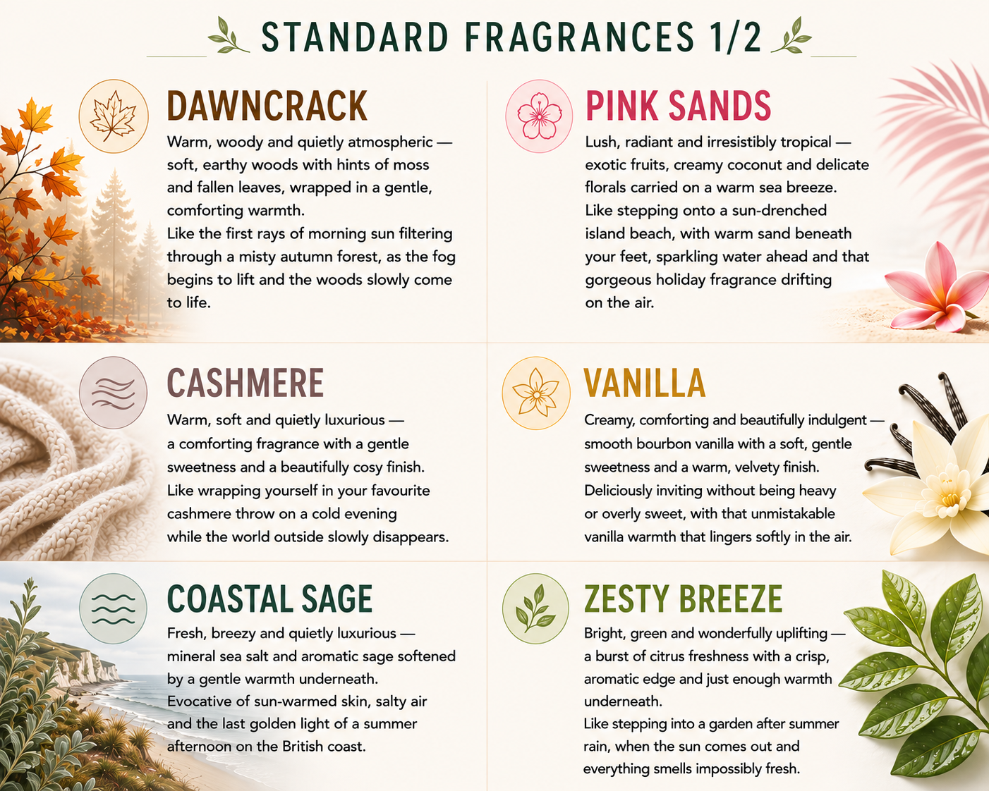 Candle fragrance guide – Dawncrack, Pink Sands, Cashmere, Vanilla, Coastal Sage and Zesty Breeze